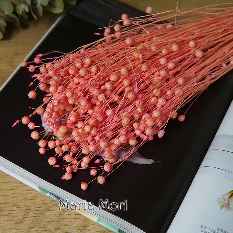 35g/Preserved Ormosia Hosiei N - Dried Flower Bulk incelemesi ve fiyatı