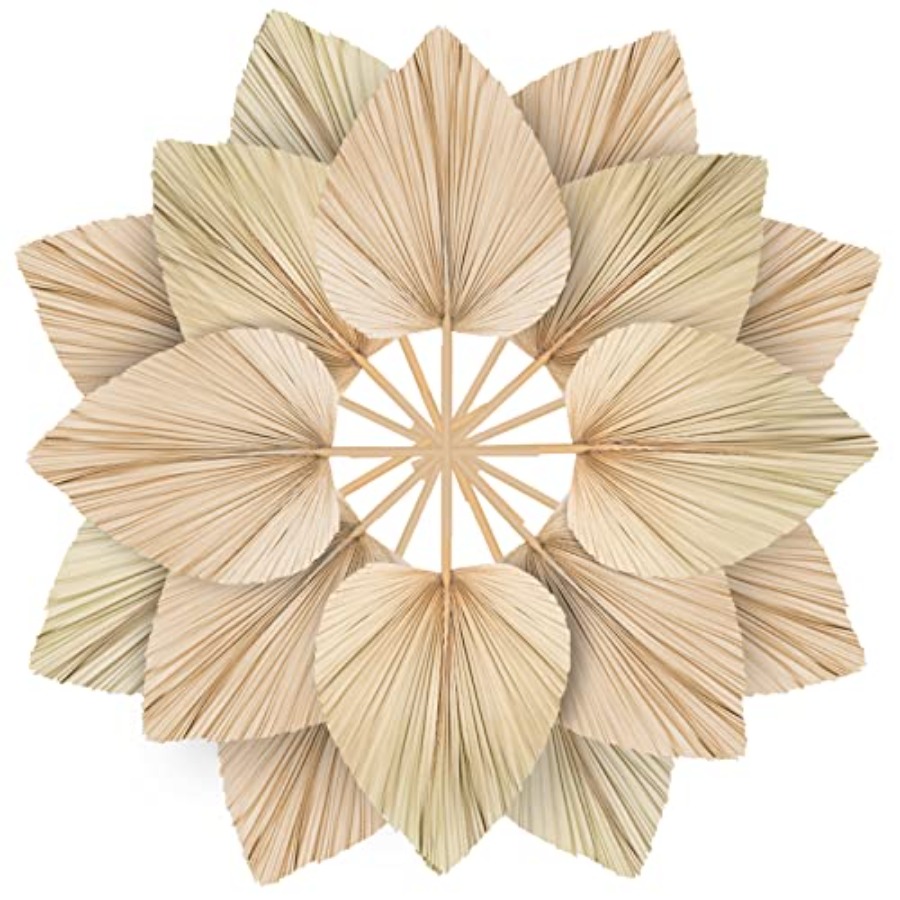 10 Large Bulk Boho Dried Palm  - Dried Flower Bulk incelemesi ve fiyatı