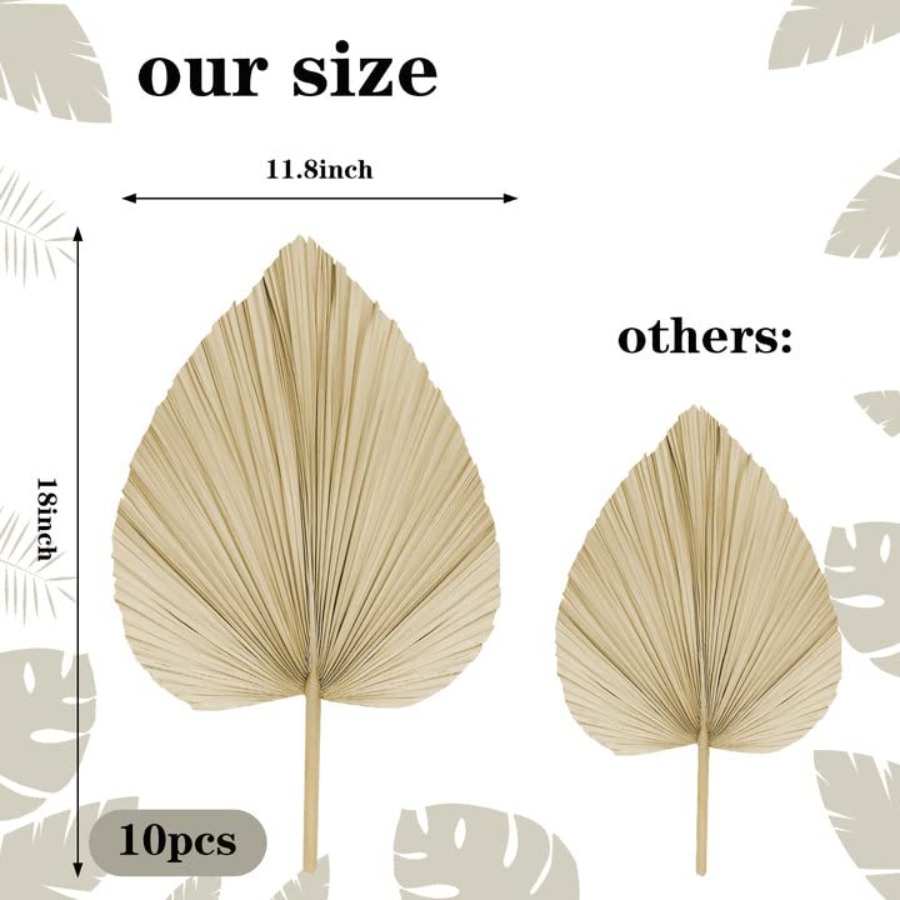 10 Large Bulk Boho Dried Palm  - Dried Flower Bulk incelemesi ve fiyatı