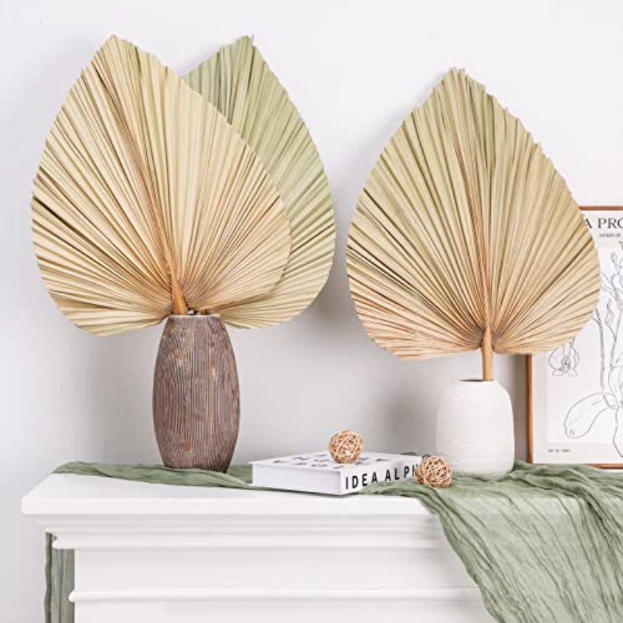 10 Large Bulk Boho Dried Palm  - Dried Flower Bulk incelemesi ve fiyatı