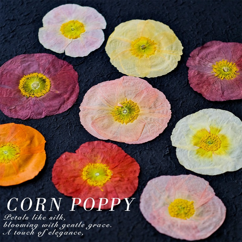 1pcs,Nature Field Poppy Presse - Resin Craft Ideas incelemesi ve fiyatı