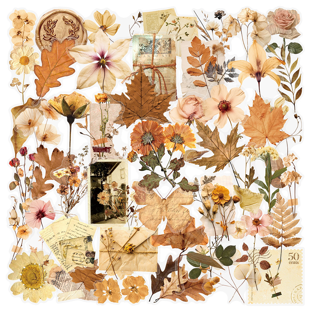 10/30/50pcs Transparent Dried  - Dried Flower Bulk incelemesi ve fiyatı