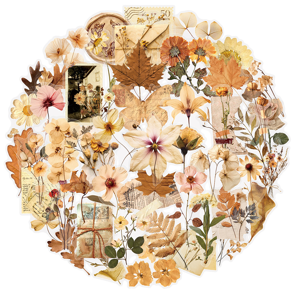 10/30/50pcs Transparent Dried  - Dried Flower Bulk incelemesi ve fiyatı