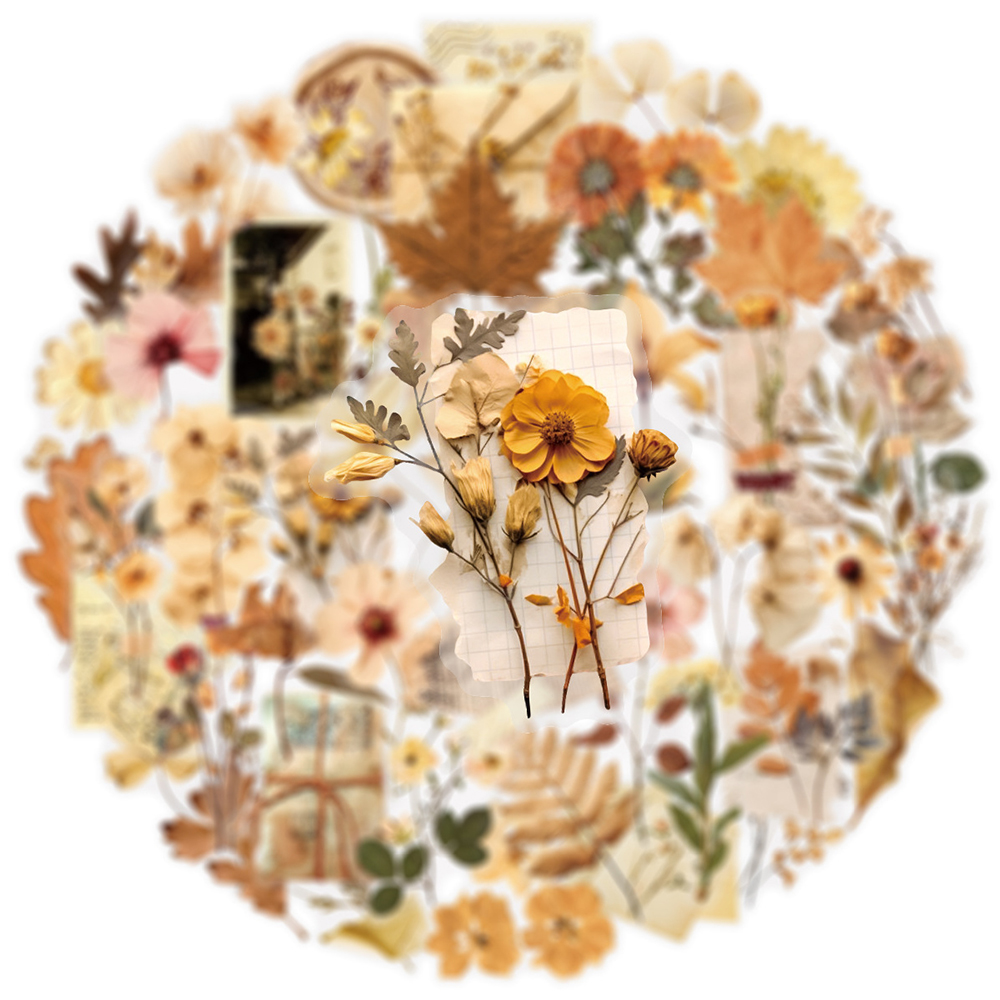 10/30/50pcs Transparent Dried  - Dried Flower Bulk incelemesi ve fiyatı