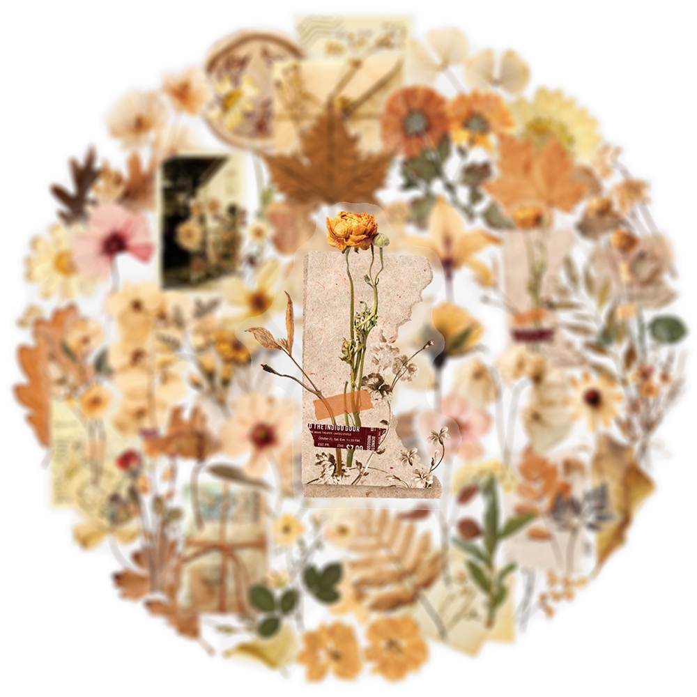 10/30/50pcs Transparent Dried  - Dried Flower Bulk incelemesi ve fiyatı