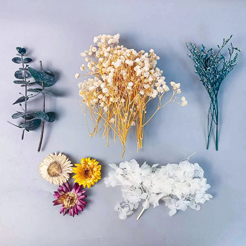 1pack Multifarious Dried Flowe - Dried Flower Bulk incelemesi ve fiyatı