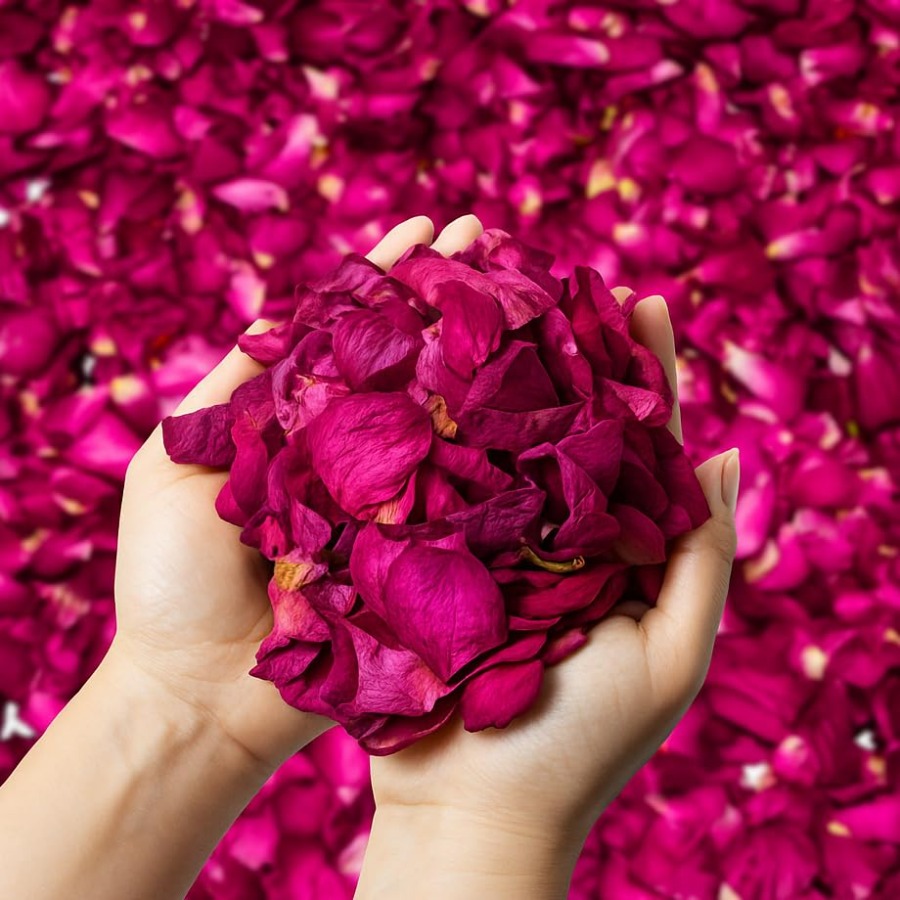 Dried Rose Petals Bulk 5oz Nat - Dried Flower Bulk incelemesi ve fiyatı