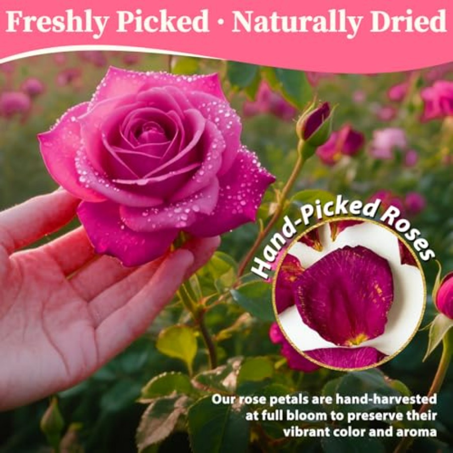 Dried Rose Petals Bulk 5oz Nat - Dried Flower Bulk incelemesi ve fiyatı