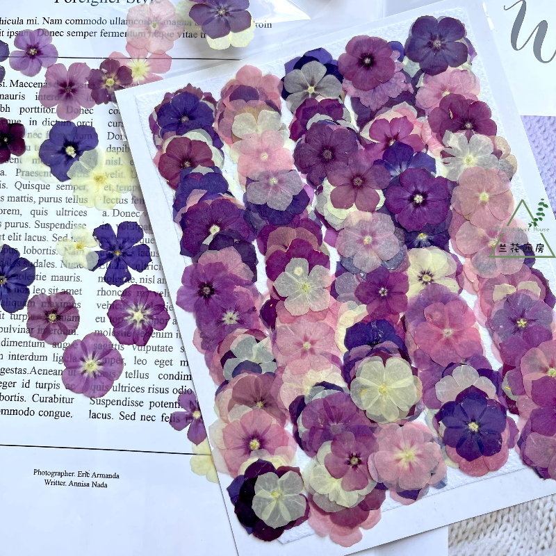12pcs,Semi-Transparent Niche P - Resin Craft Ideas incelemesi ve fiyatı