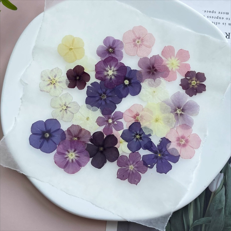 12pcs,Semi-Transparent Niche P - Resin Craft Ideas incelemesi ve fiyatı