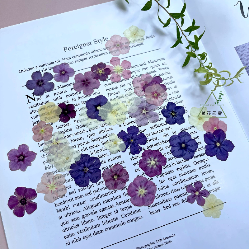 12pcs,Semi-Transparent Niche P - Resin Craft Ideas incelemesi ve fiyatı