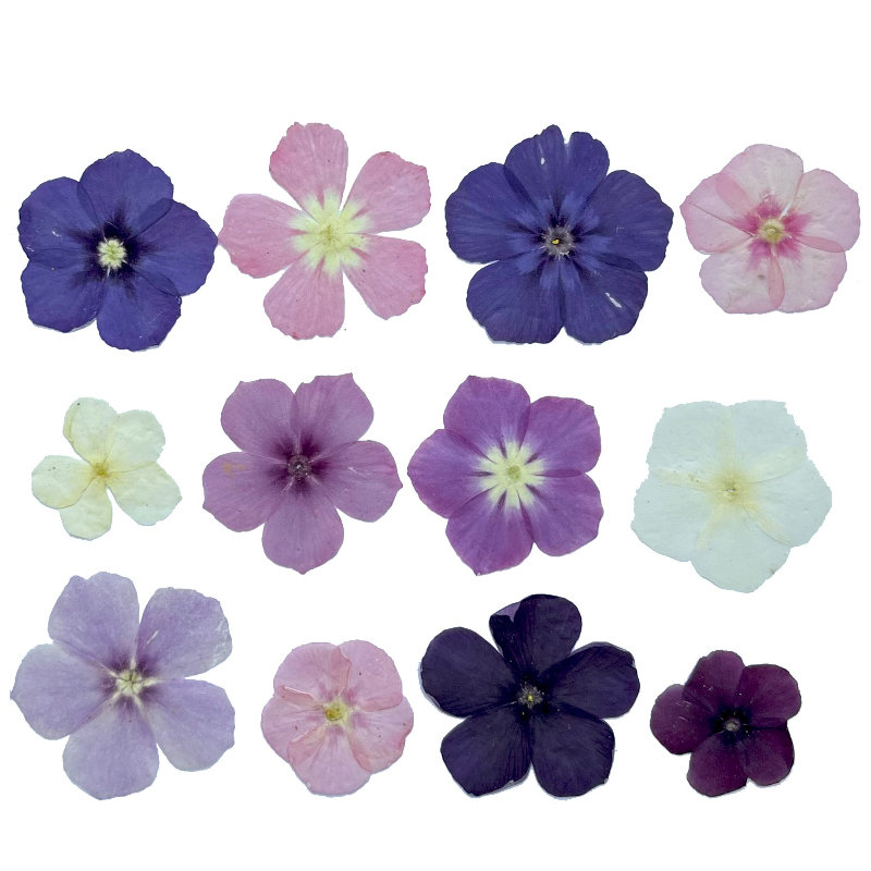 12pcs,Semi-Transparent Niche P - Resin Craft Ideas incelemesi ve fiyatı